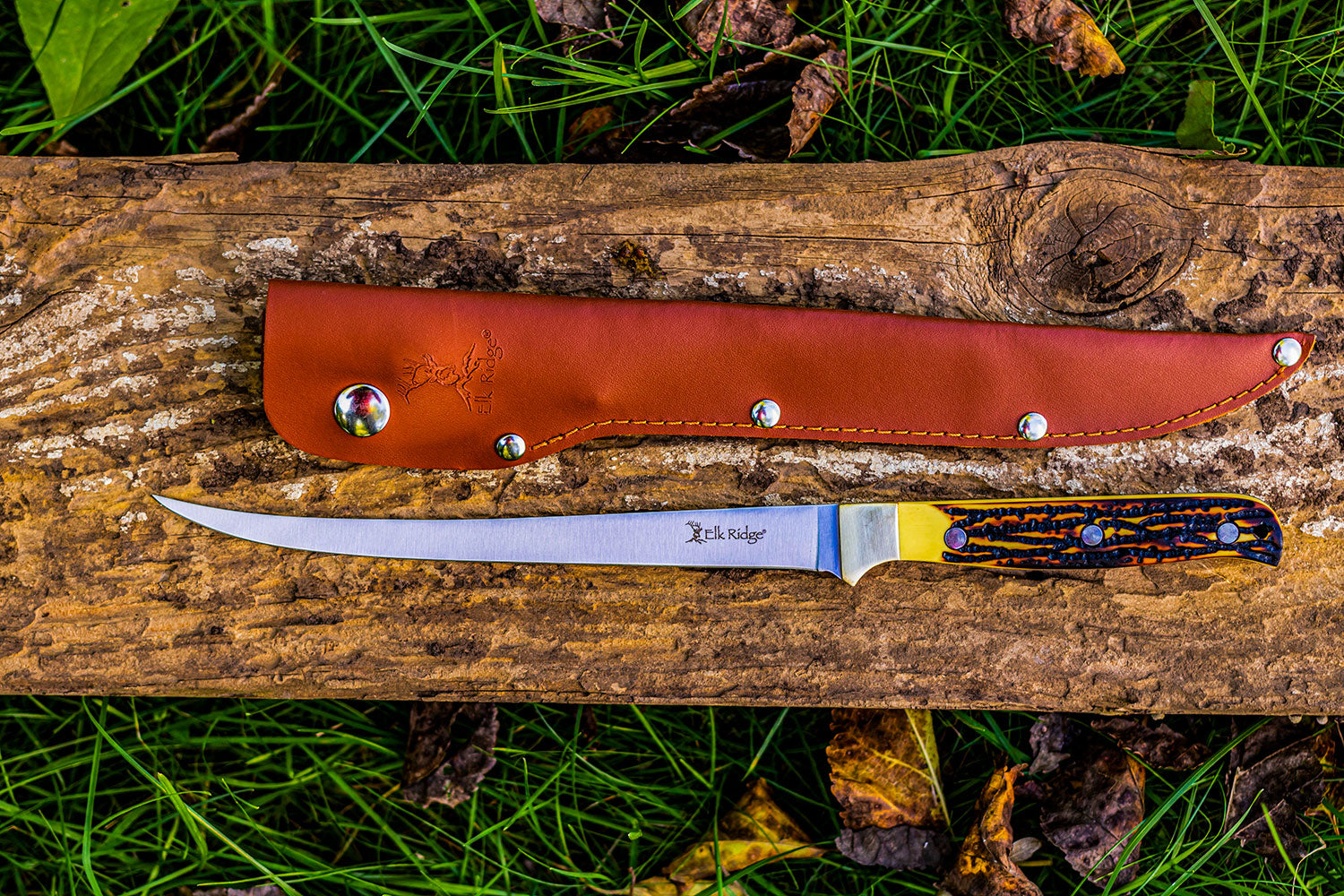 ER-146_2_2048x Elk Ridge Fixed Blade Fillet Knife / Fishing / Hunting - ER-146 - Image 1