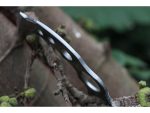 Gil Hibben Claw II - GH2028SS - Image 5