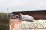 QSP Osprey Liner Lock Knife Shredded CF/Red G-10 (3.25" Satin) QS139-F1 - Image 4