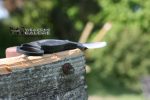'Rout' Elite Tactical Fixed Blade Neck Knife w/ Sheath - ET-FIX007BK - Image 7