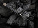 WEKNIFE DIATOMIC FLIPPER KNIFE TITANIUM HANDLE (3.78″ CPM 20CV BLADE) WE22032-3 - Image 3