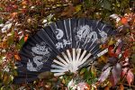 KUNG FU FIGHTING FAN - 2510-CBK - Image 2