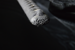 Ryujin 5160 Spring Steel Katana ELITE - "Kusaboke" Katana - - Image 5