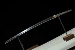 Akira Forge Hand Forged Premium Tiger Katana / Samurai Sword - 45″ 65Mn Spring Steel w/ Real Hamon - Image 4